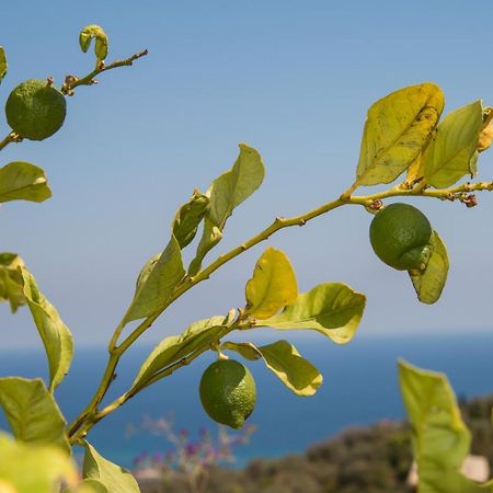 Villa Annetta Poggi エクステリア 写真