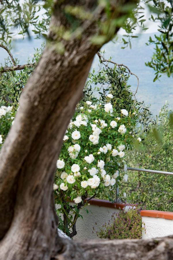 Villa Annetta Poggi エクステリア 写真