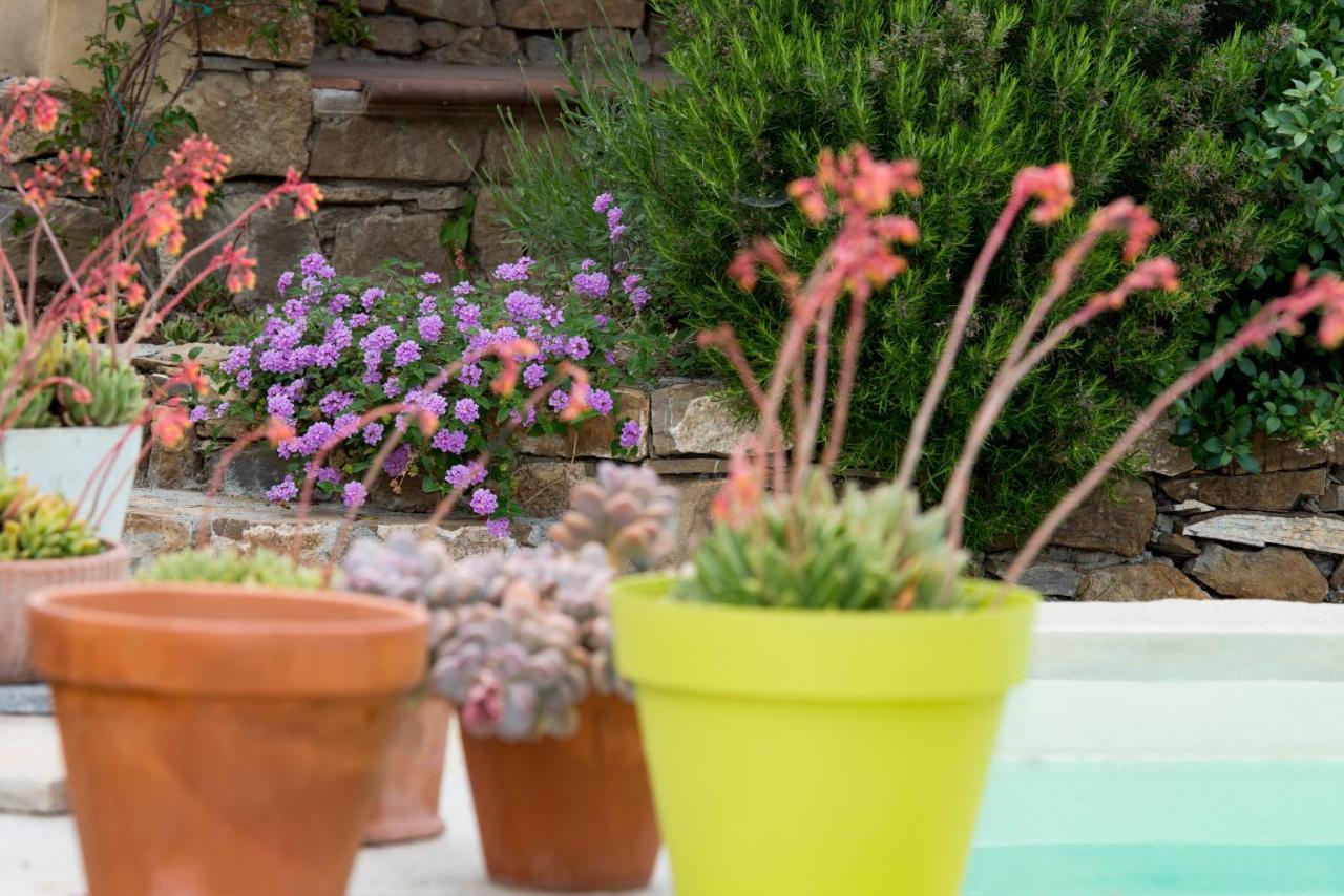 Villa Annetta Poggi エクステリア 写真
