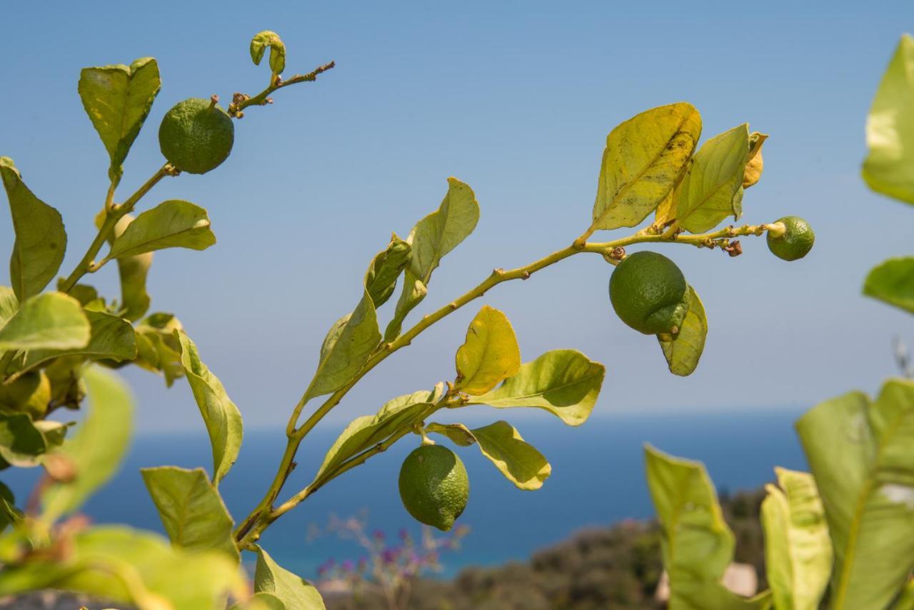 Villa Annetta Poggi エクステリア 写真